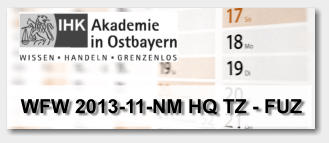 WFW 2013-11-NM HQ TZ - FUZ