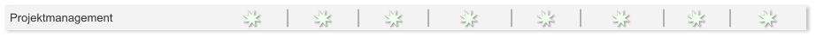 Projektmanagement