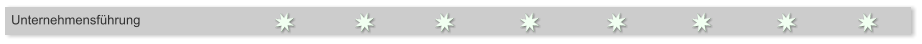 Unternehmensfhrung